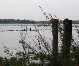 Backwaters of Cochin, India