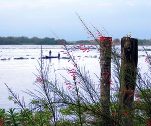 Backwaters of Cochin, India, after Photoshop