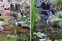 Two pond images, side by side
